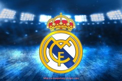 看球通-世俱杯赛事组织机构职责划分及内部协作机制建设