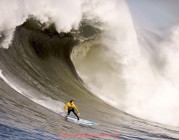 看球通-欧冠比赛官方比赛用球介绍与品牌