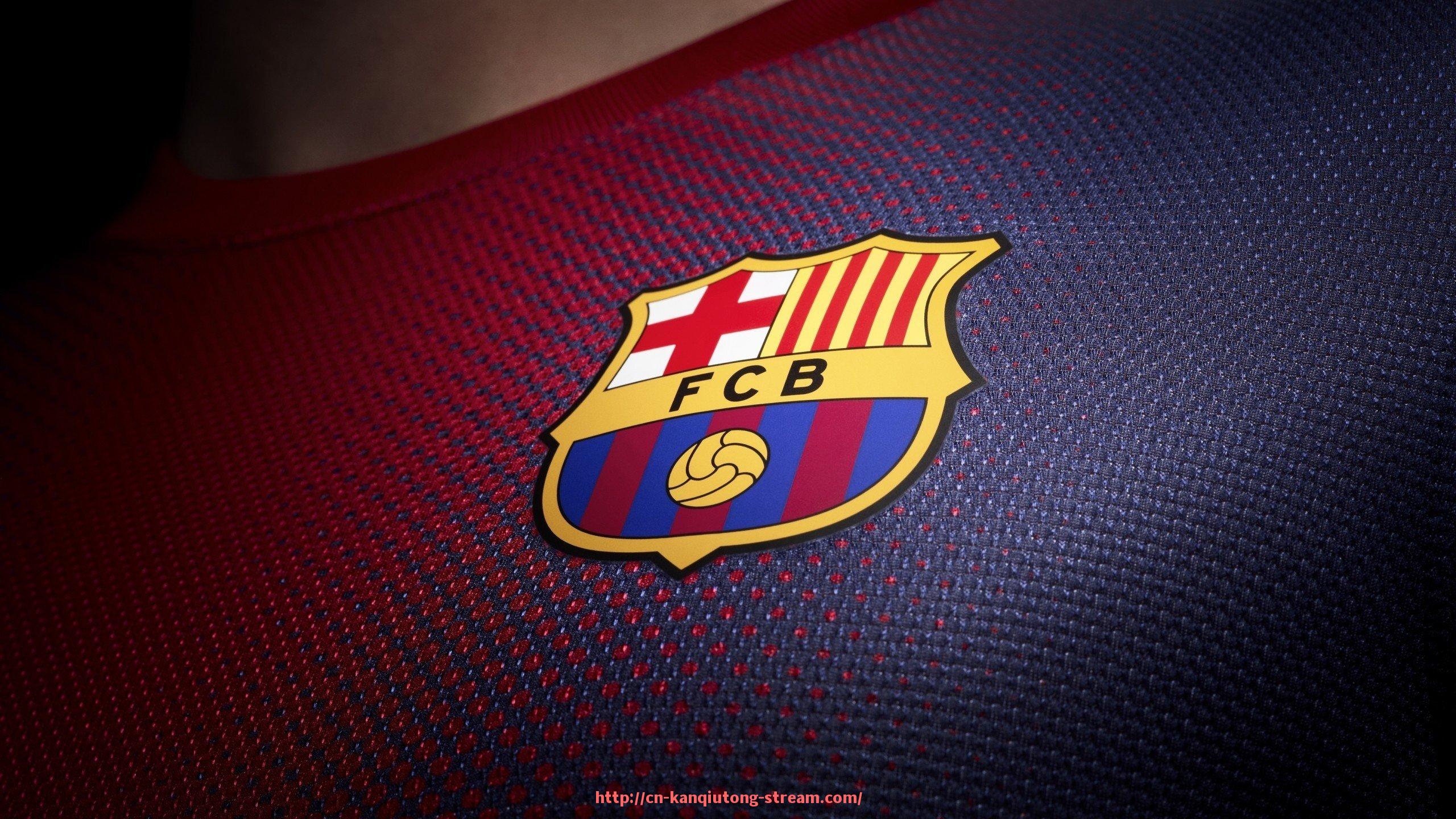 看球通-中国球迷如何看待与支持火箭队的文化互动